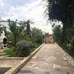 Kolorcek Izola