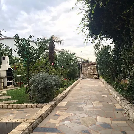 Kolorcek Izola