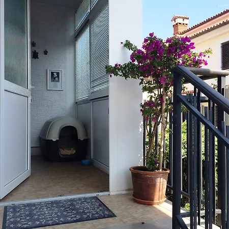 Kolorcek Apartment